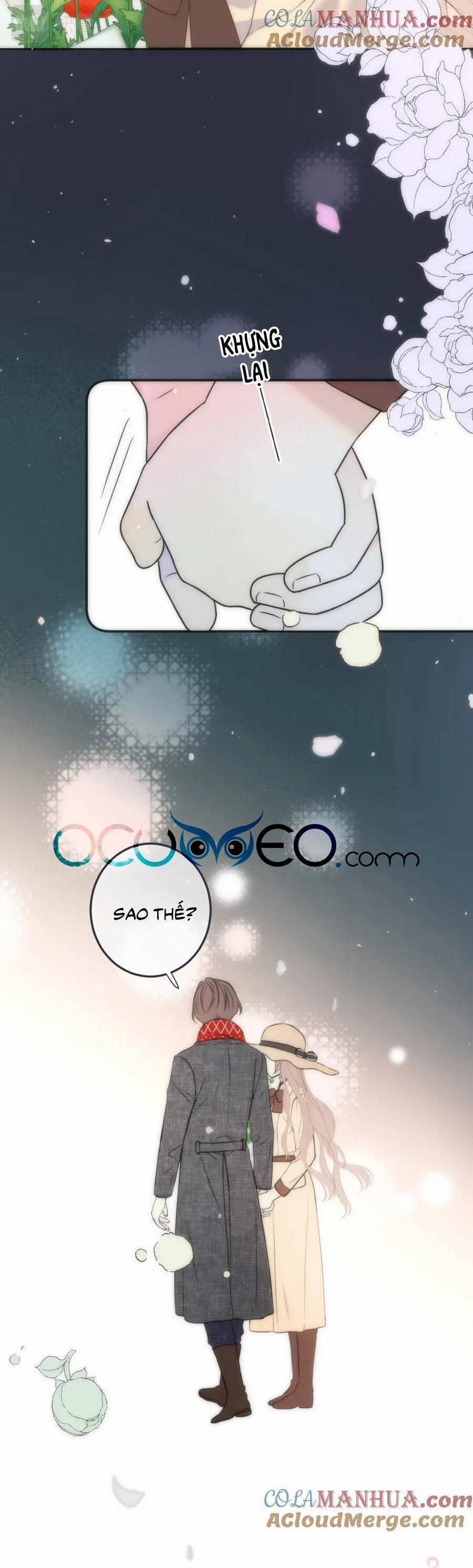 Lâu Tiểu Thư, Lại Gặp Nhau Rồi 117 trang 25