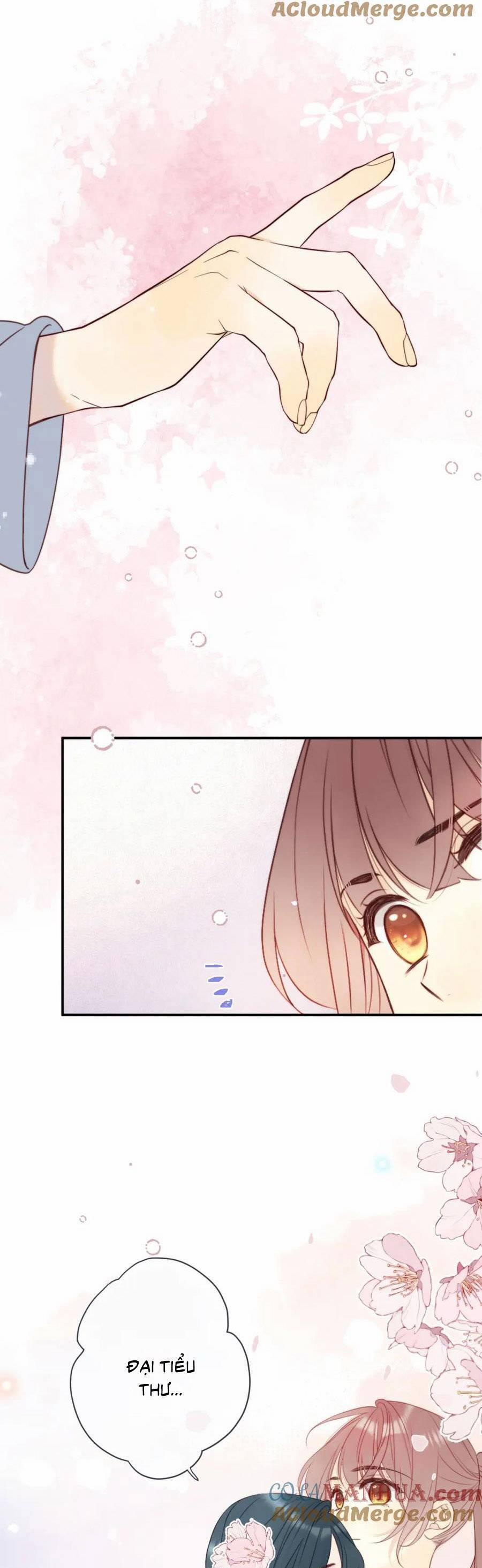 Lâu Tiểu Thư, Lại Gặp Nhau Rồi 117 trang 9