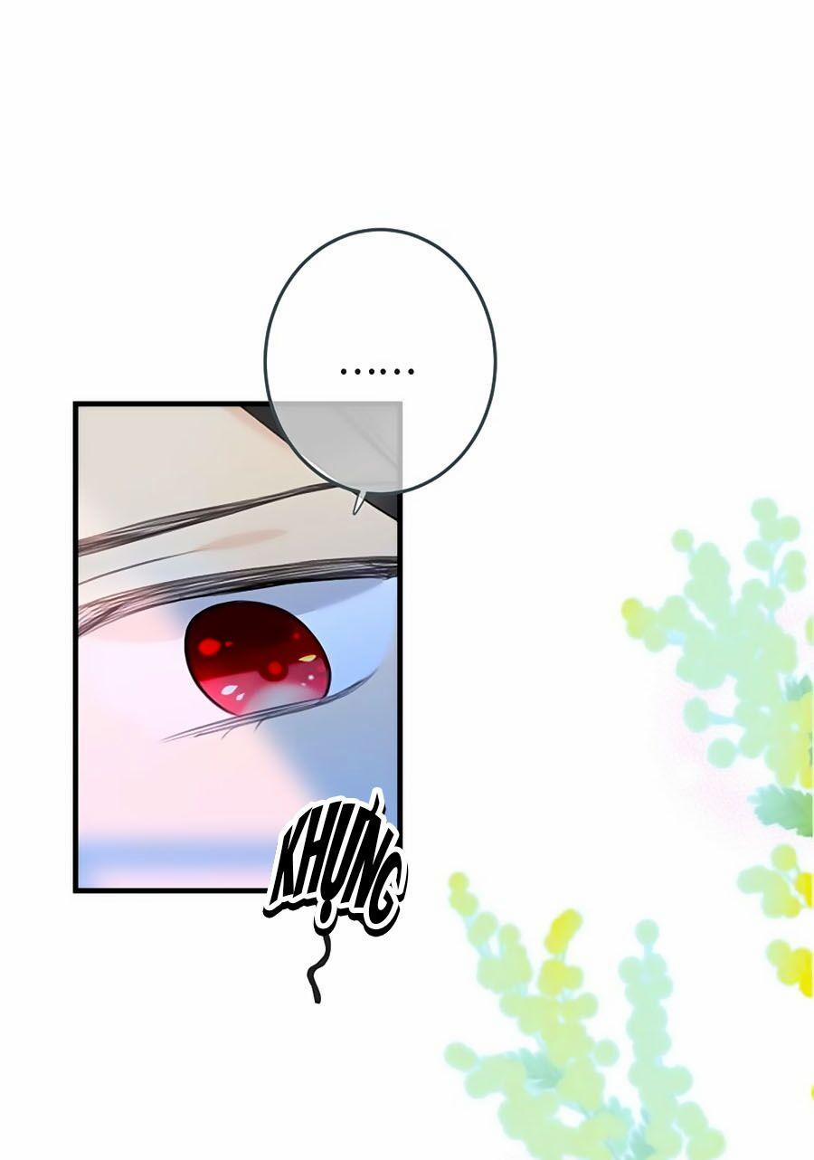 Lâu Tiểu Thư, Lại Gặp Nhau Rồi 12 trang 0