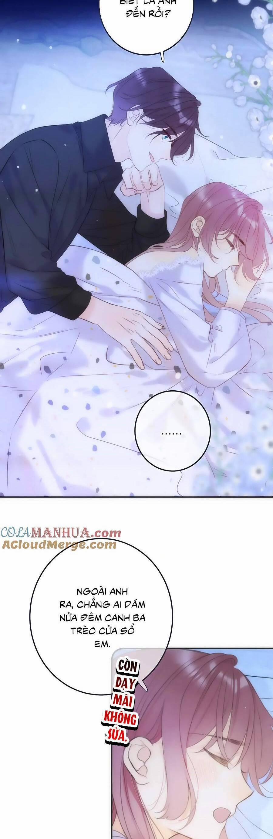 Lâu Tiểu Thư, Lại Gặp Nhau Rồi 121.5 trang 3