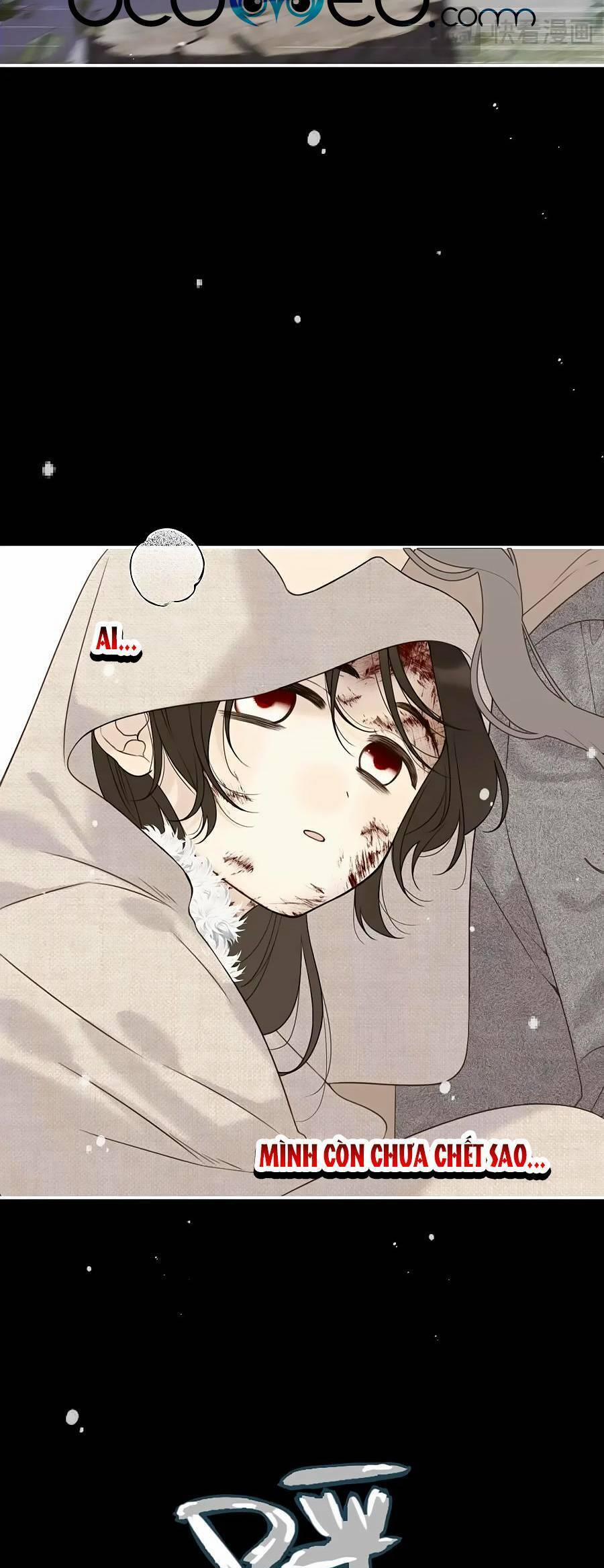 Lâu Tiểu Thư, Lại Gặp Nhau Rồi 126 trang 15