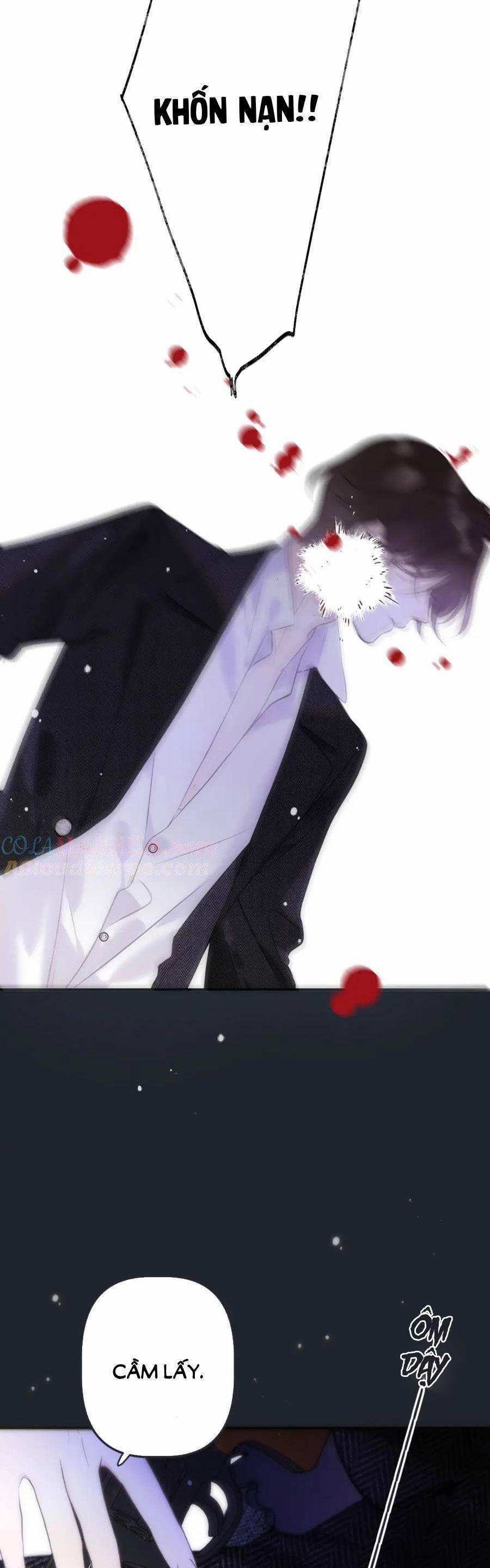 Lâu Tiểu Thư, Lại Gặp Nhau Rồi 138 trang 29