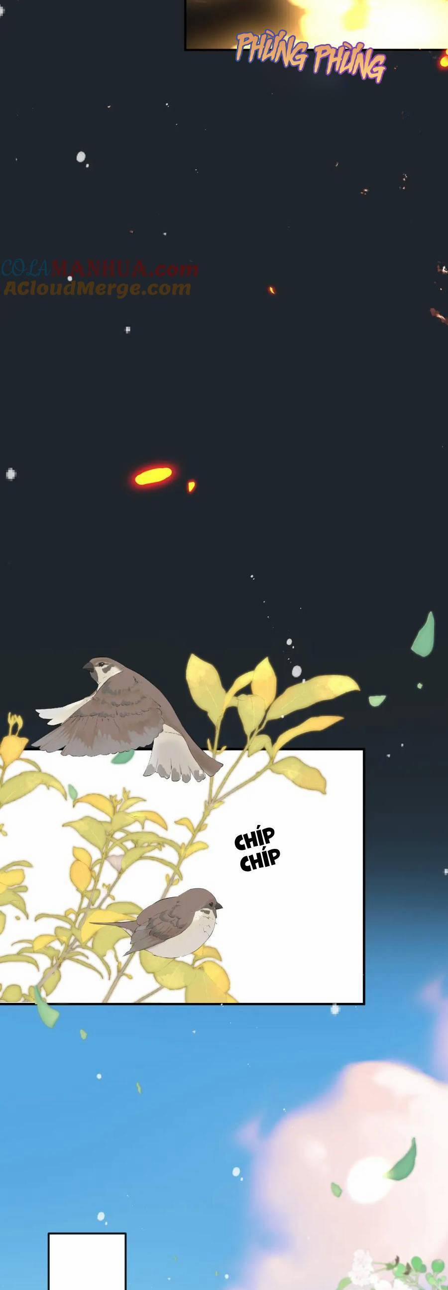 Lâu Tiểu Thư, Lại Gặp Nhau Rồi 139 trang 31