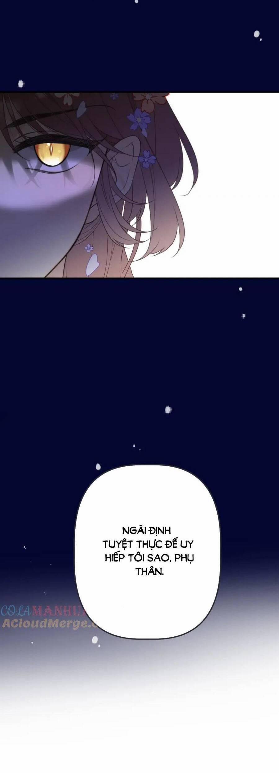 Lâu Tiểu Thư, Lại Gặp Nhau Rồi 141 trang 65