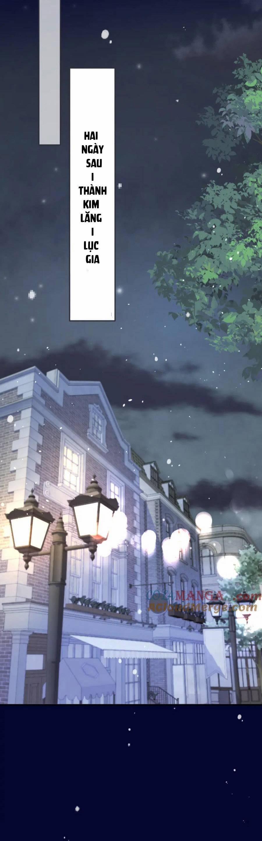 Lâu Tiểu Thư, Lại Gặp Nhau Rồi 144 trang 19