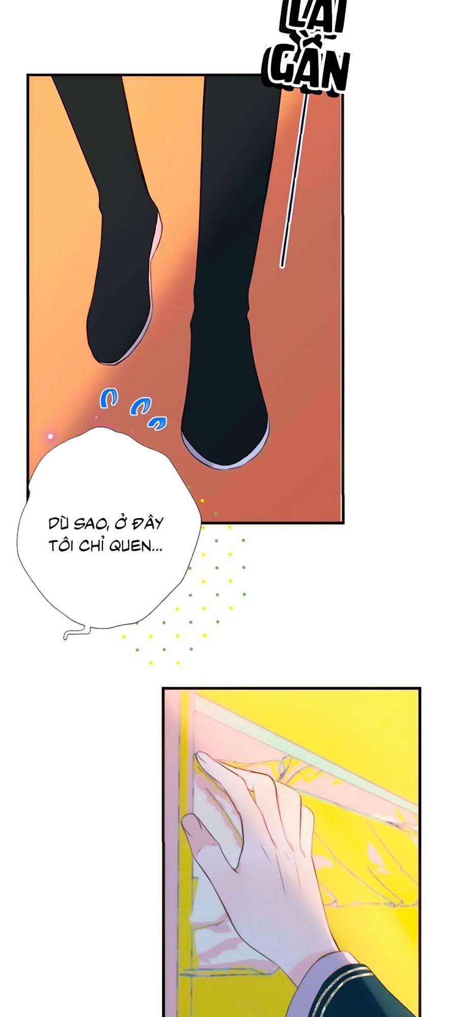 Lâu Tiểu Thư, Lại Gặp Nhau Rồi 3 trang 3