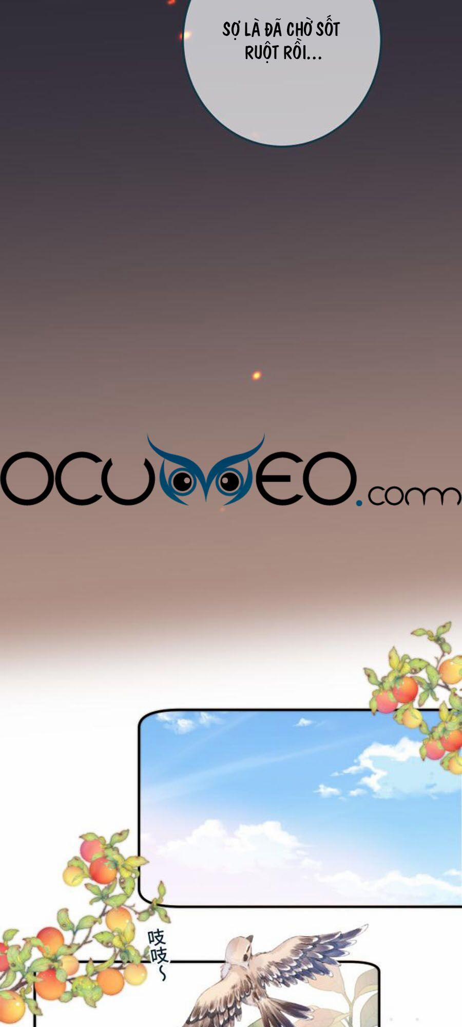 Lâu Tiểu Thư, Lại Gặp Nhau Rồi 33 trang 16