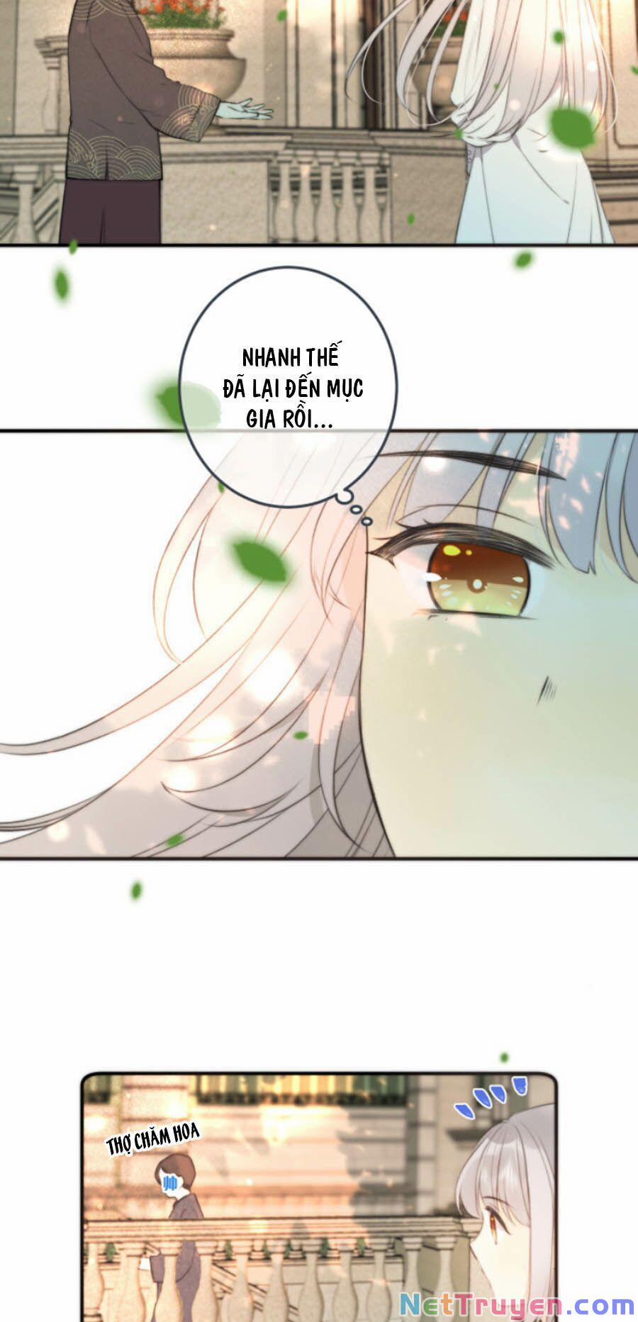 Lâu Tiểu Thư, Lại Gặp Nhau Rồi 37 trang 11