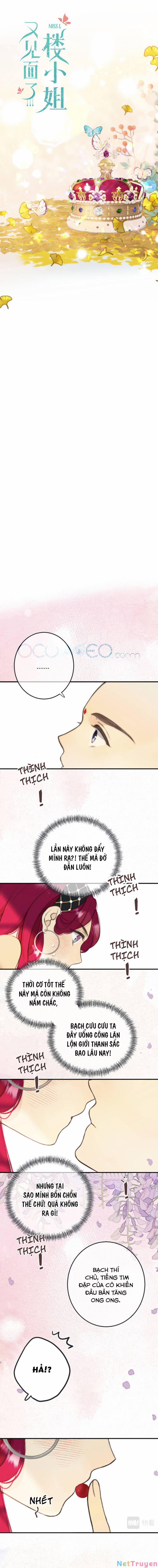 Lâu Tiểu Thư, Lại Gặp Nhau Rồi 62 trang 0