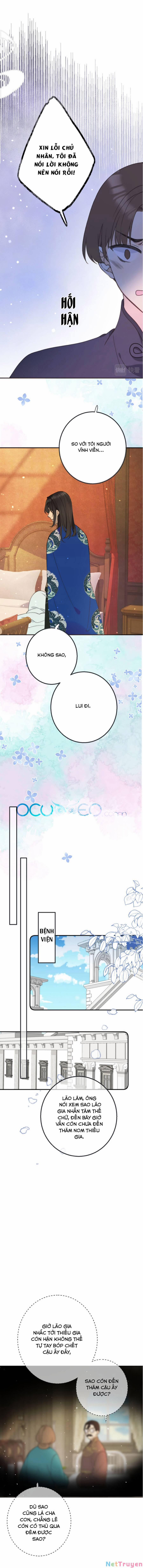 Lâu Tiểu Thư, Lại Gặp Nhau Rồi 68 trang 5