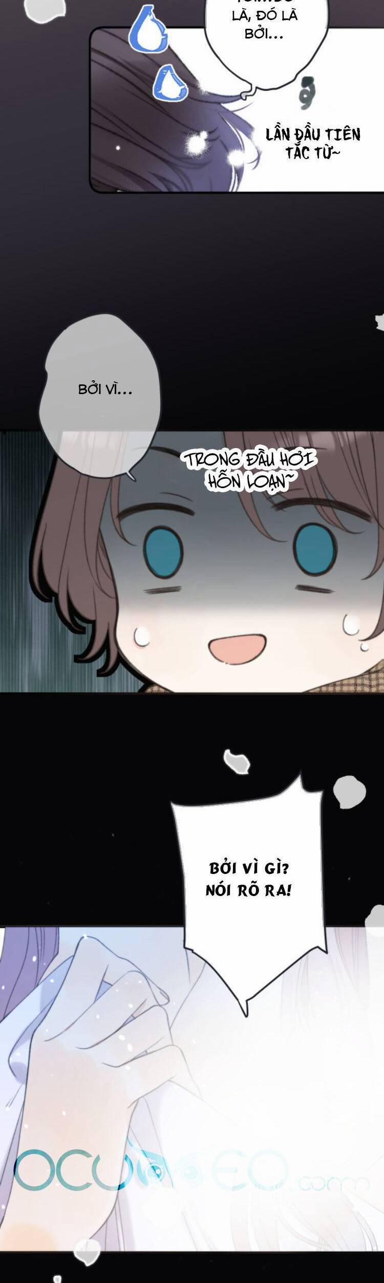 Lâu Tiểu Thư, Lại Gặp Nhau Rồi 71 trang 13