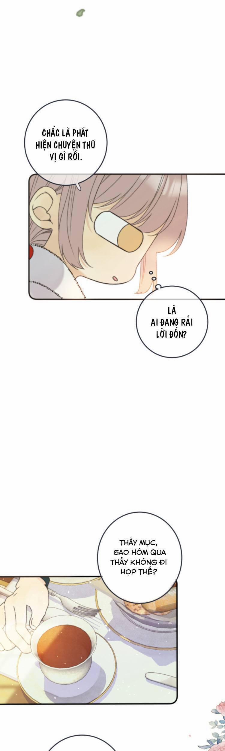 Lâu Tiểu Thư, Lại Gặp Nhau Rồi 72 trang 15