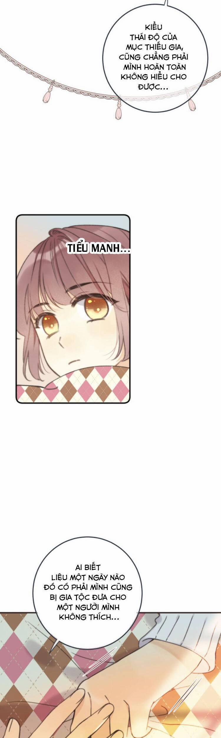 Lâu Tiểu Thư, Lại Gặp Nhau Rồi 74 trang 14