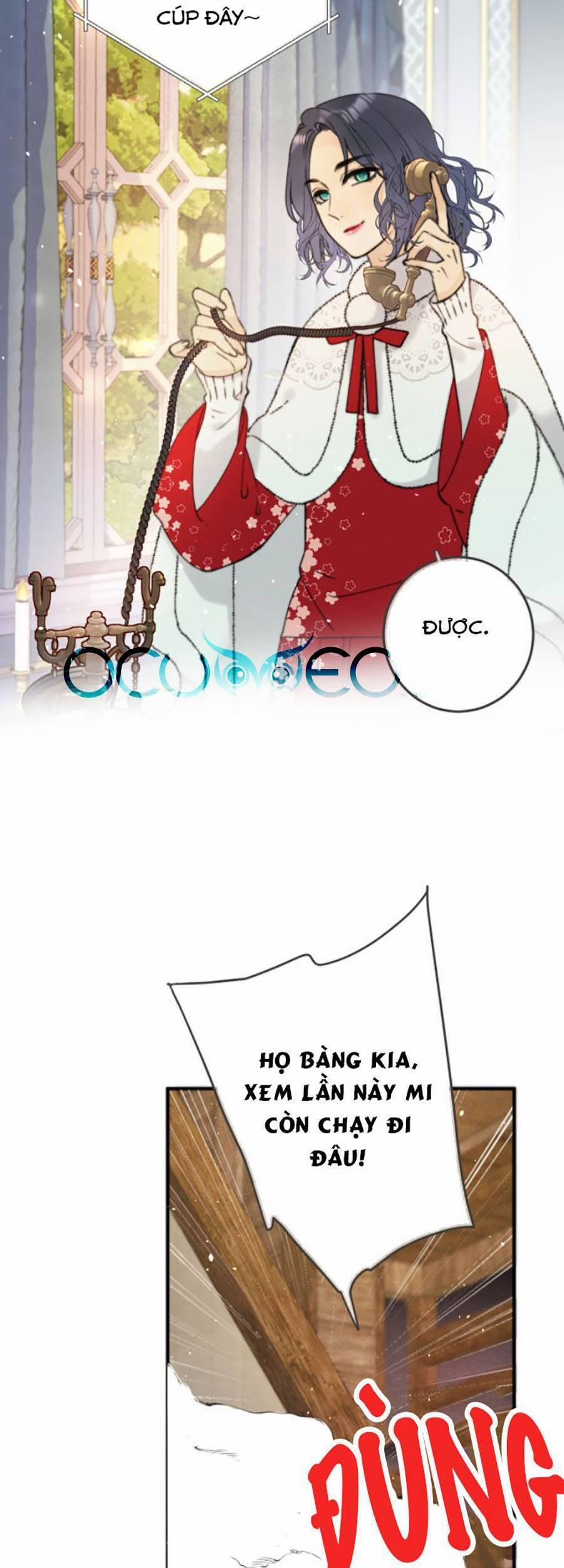 Lâu Tiểu Thư, Lại Gặp Nhau Rồi 79 trang 3