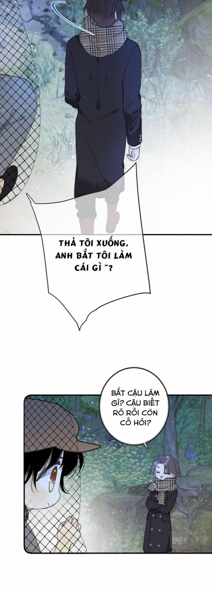 Lâu Tiểu Thư, Lại Gặp Nhau Rồi 80 trang 16