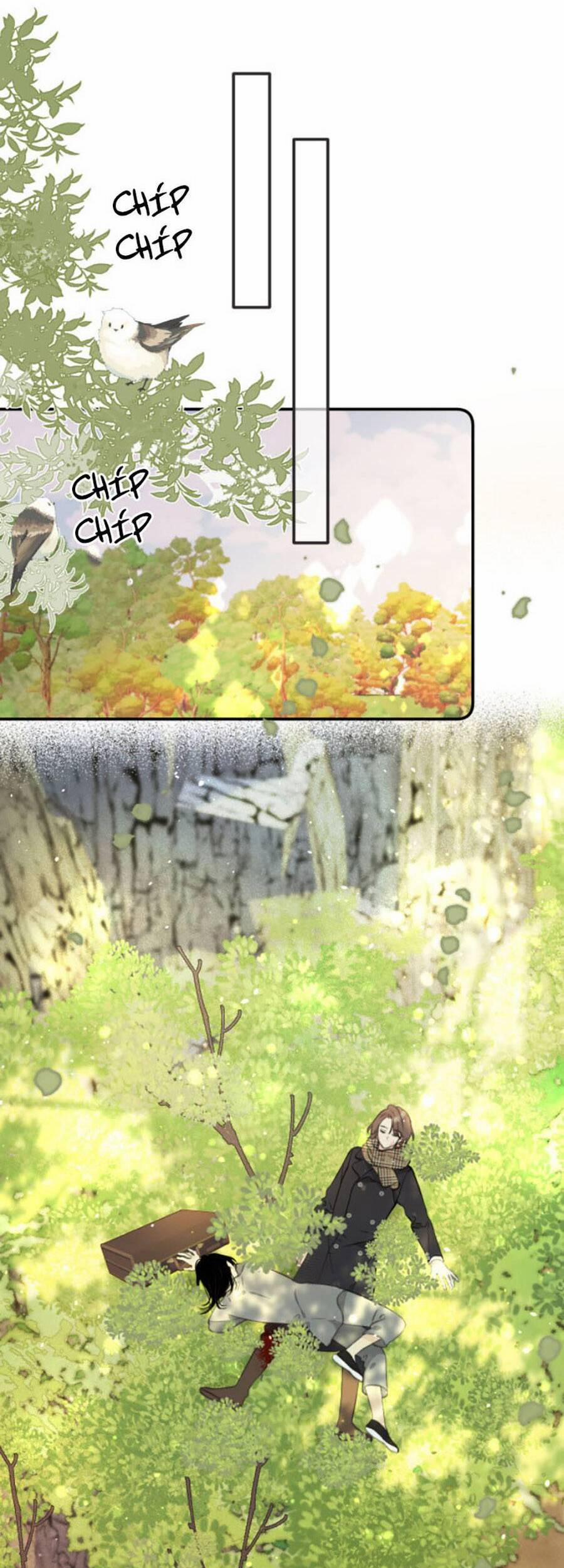 Lâu Tiểu Thư, Lại Gặp Nhau Rồi 82 trang 12