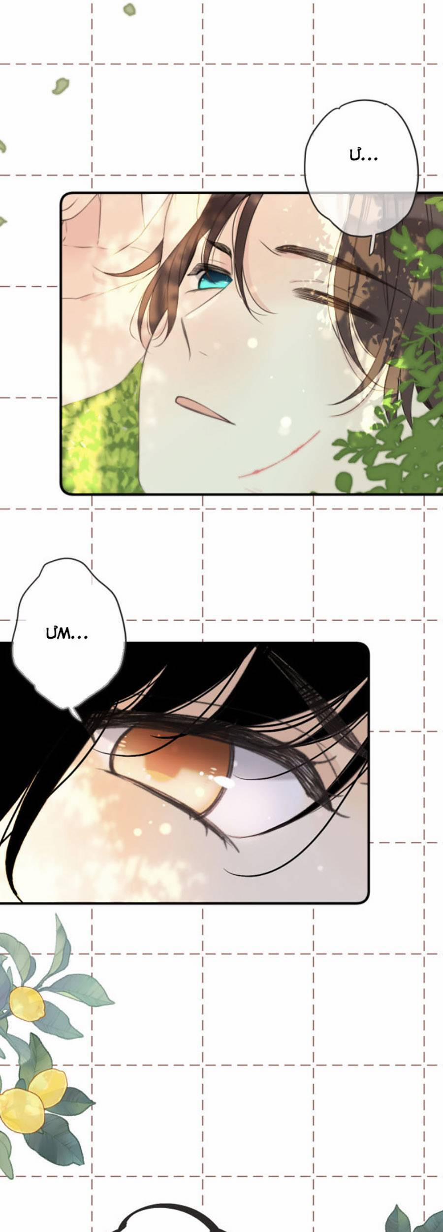 Lâu Tiểu Thư, Lại Gặp Nhau Rồi 82 trang 14