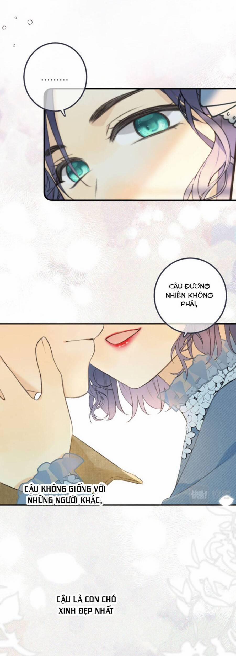 Lâu Tiểu Thư, Lại Gặp Nhau Rồi 85 trang 10