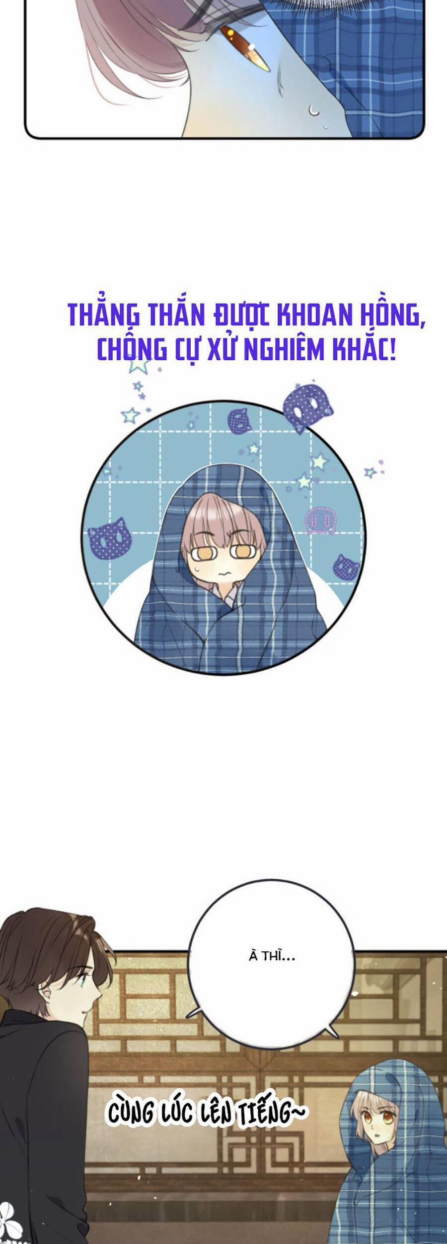 Lâu Tiểu Thư, Lại Gặp Nhau Rồi 85 trang 18