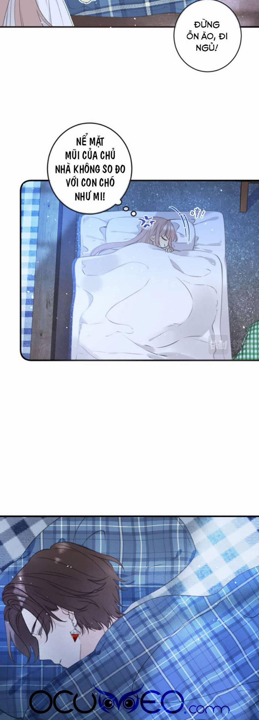 Lâu Tiểu Thư, Lại Gặp Nhau Rồi 86 trang 4