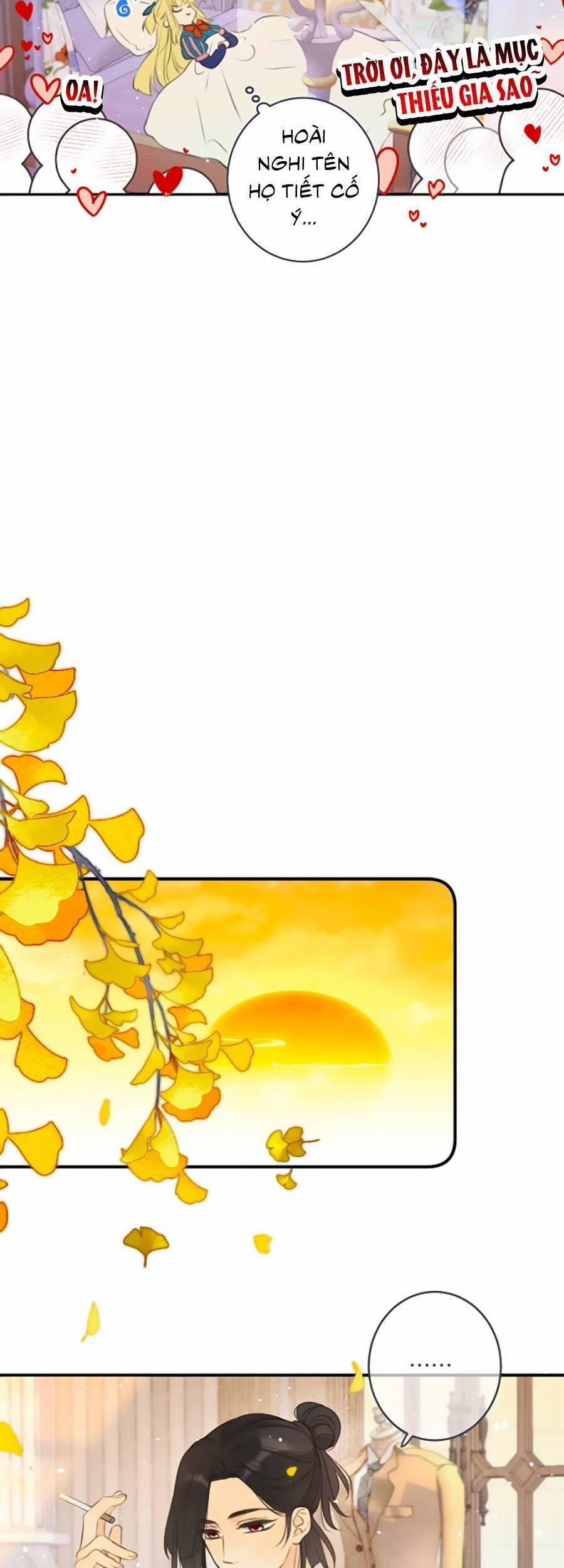 Lâu Tiểu Thư, Lại Gặp Nhau Rồi 89 trang 25