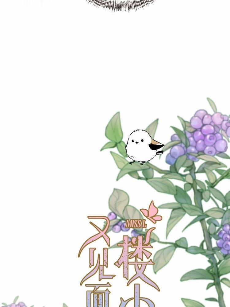 Lâu Tiểu Thư, Lại Gặp Nhau Rồi 9 trang 2