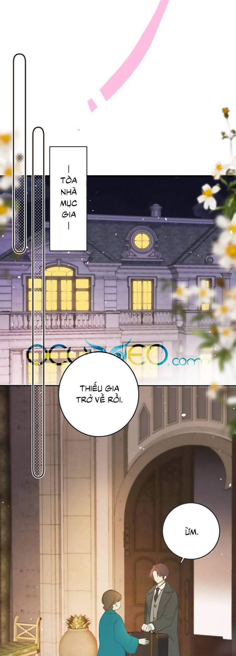 Lâu Tiểu Thư, Lại Gặp Nhau Rồi 93 trang 36