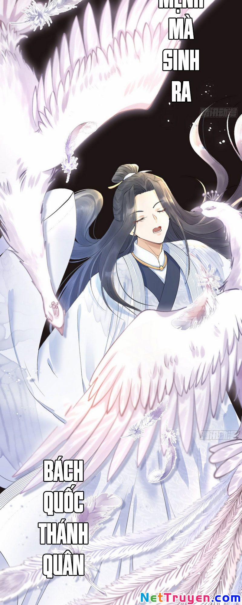 Lễ Băng Nhạc Phôi Chi Dạ 0 trang 3