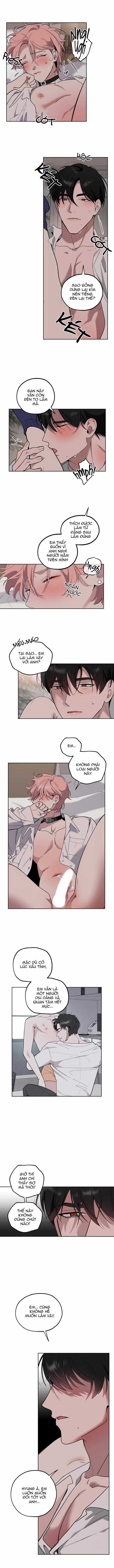 Lễ Tán Sắc Phục 12 trang 6