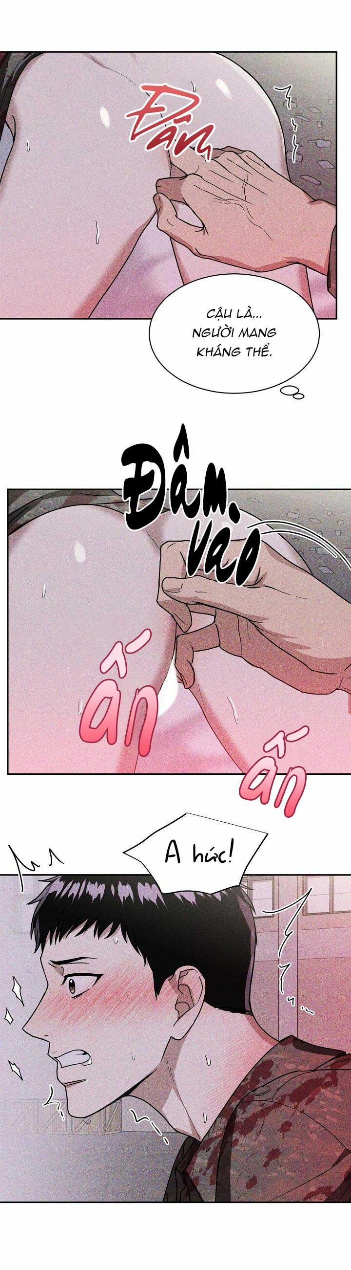 Lễ Tán Sắc Phục 3 trang 6