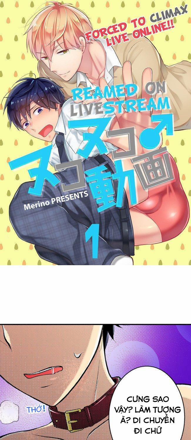 Lên Đỉnh Trên Livestream 3 trang 0