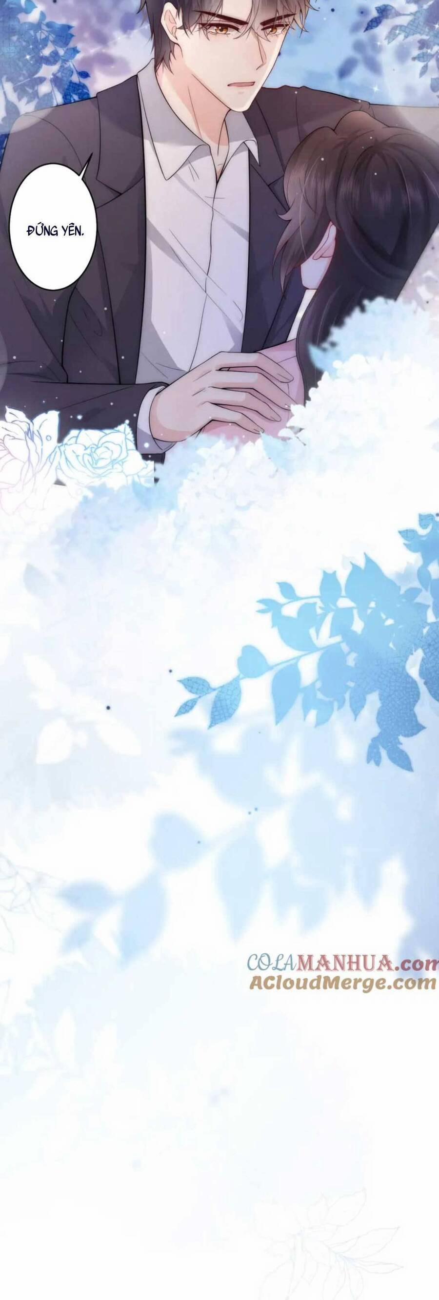 Lên Nhầm Giường Tổng Tài , Được Chồng Như Ý 12 trang 22