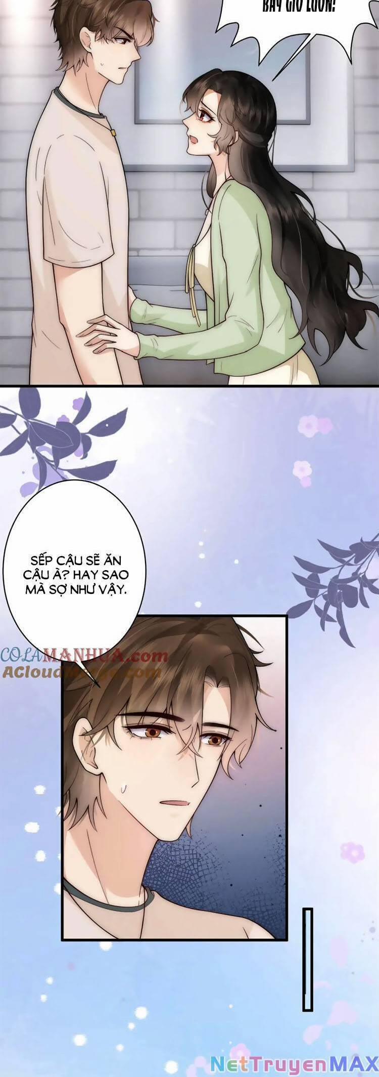 Lên Nhầm Giường Tổng Tài , Được Chồng Như Ý 22 trang 1