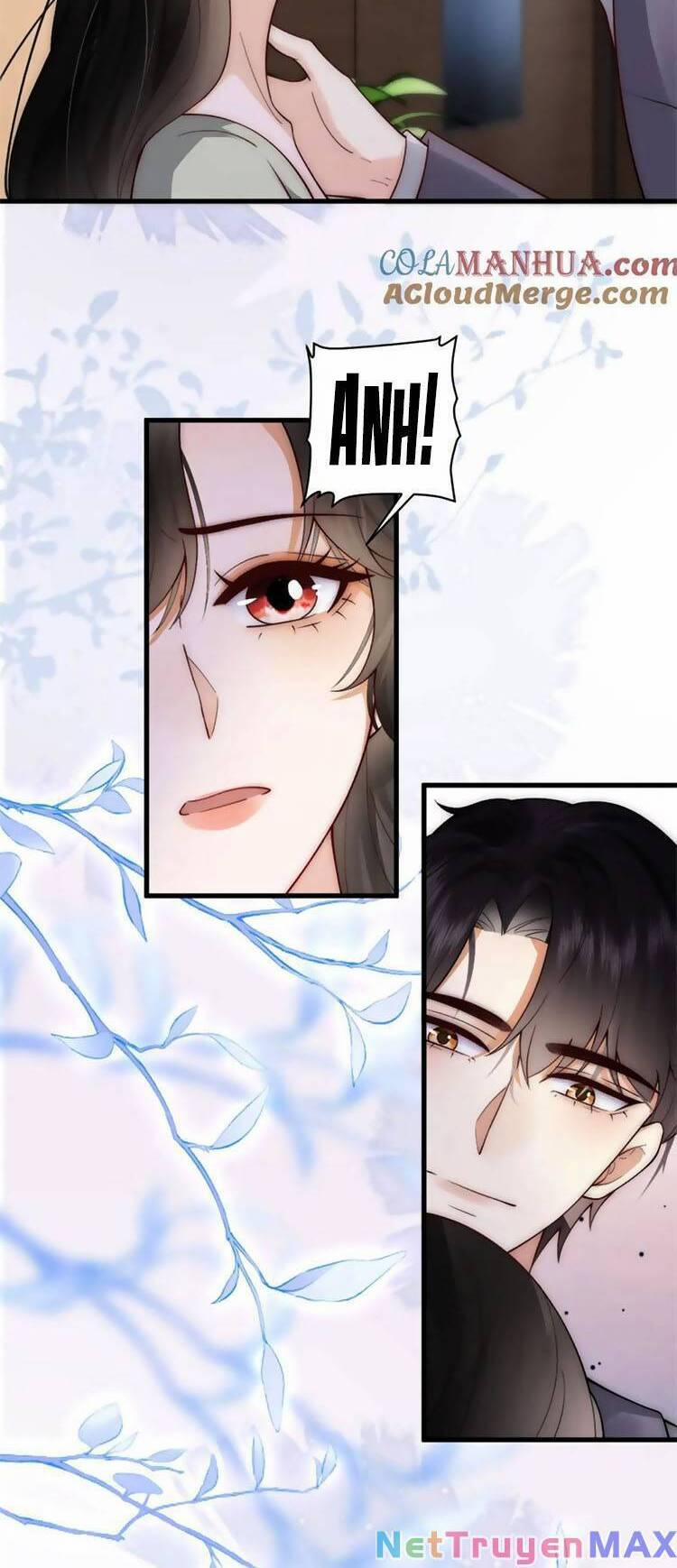 Lên Nhầm Giường Tổng Tài , Được Chồng Như Ý 22 trang 12