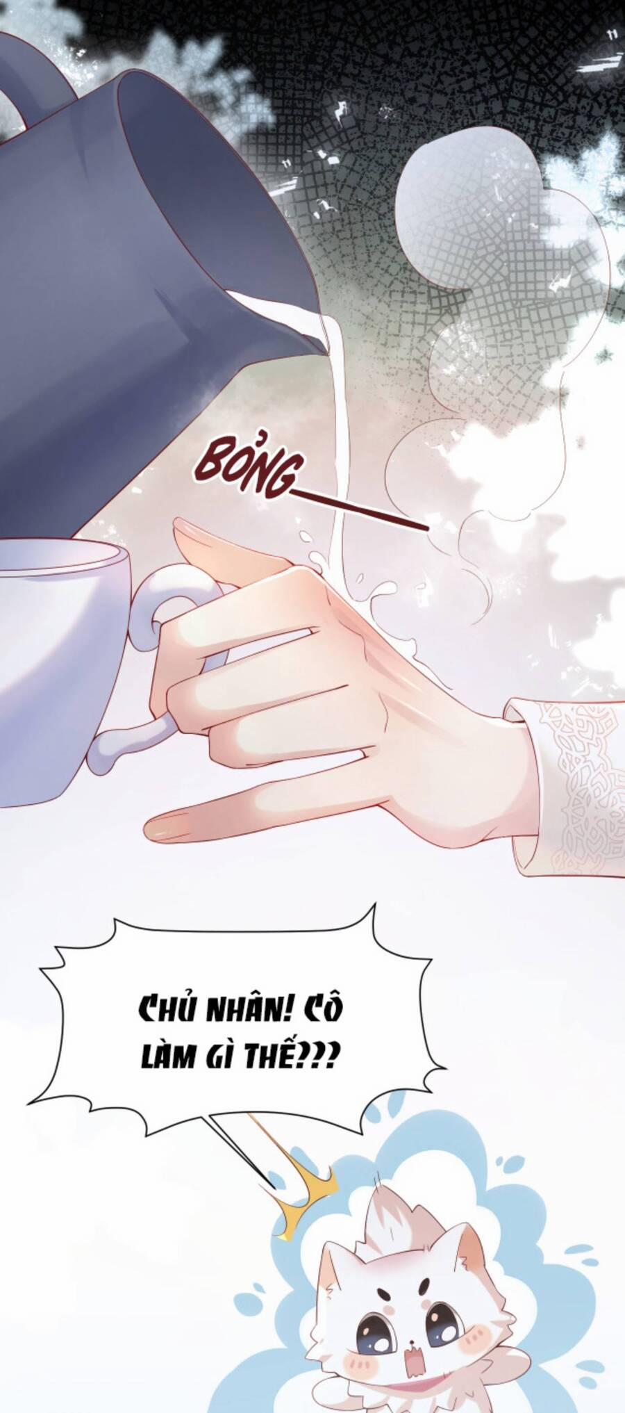 Lên Nhầm Giường Tổng Tài , Được Chồng Như Ý 3 trang 6