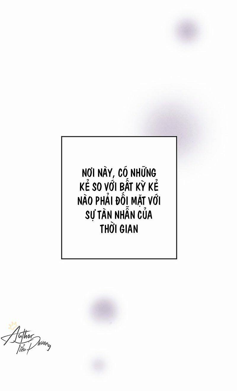 Lệnh Cấm Hôn Của Hoàng Đế Bệ Hạ 6 trang 8