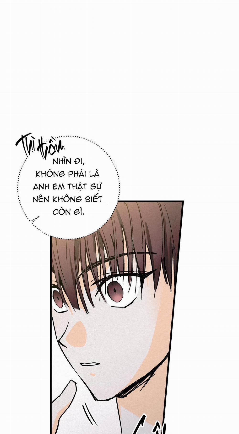 LIE AGAIN 37 ss2 trang 28