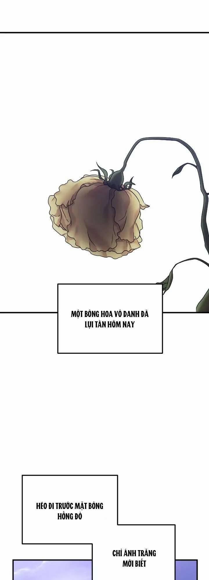 Liên Hôn Phục Thù 44 trang 12