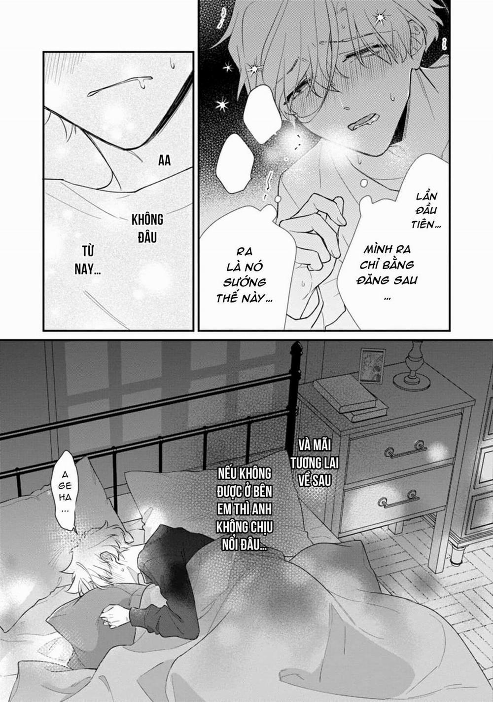 Liên Kết Của Chúng Ta 16 trang 11