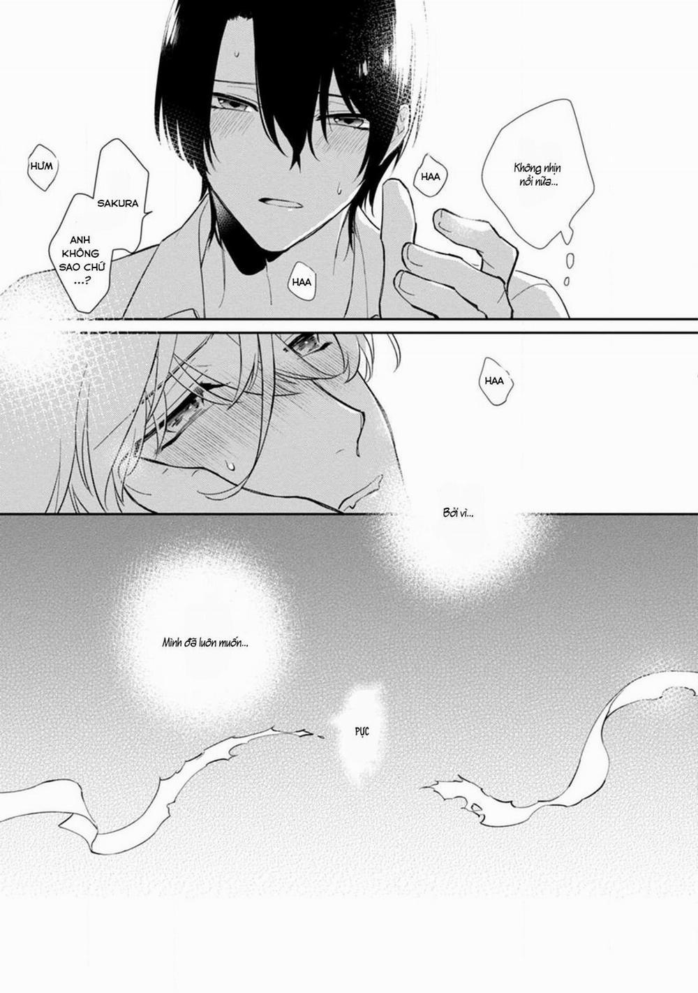 Liên Kết Của Chúng Ta 7 trang 24