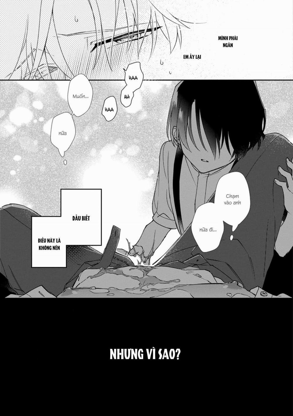 Liên Kết Của Chúng Ta 9 trang 20