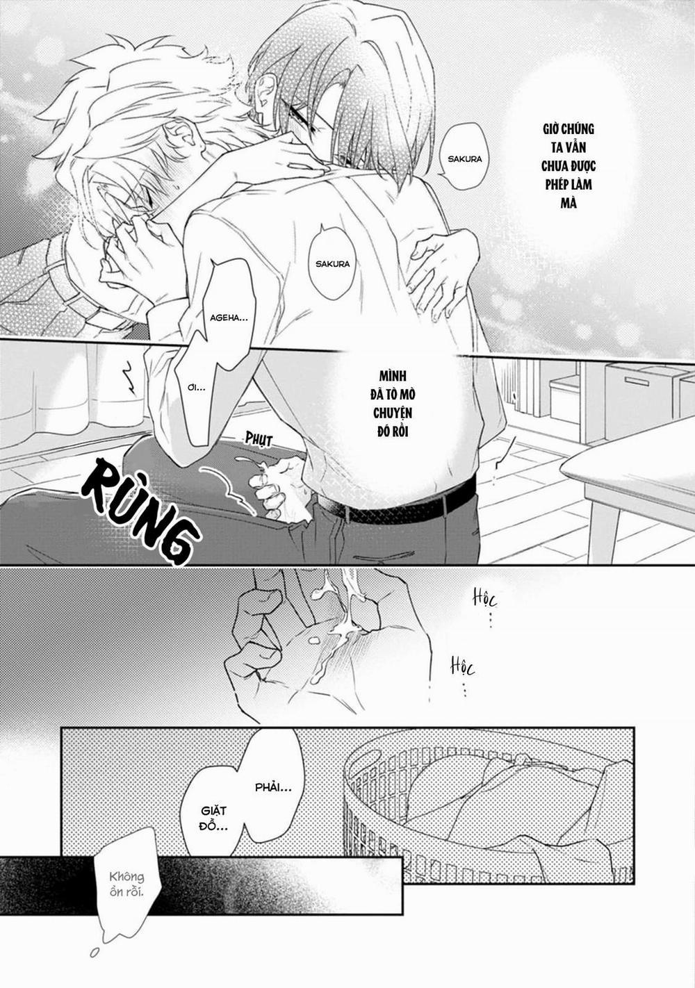 Liên Kết Của Chúng Ta 9 trang 4