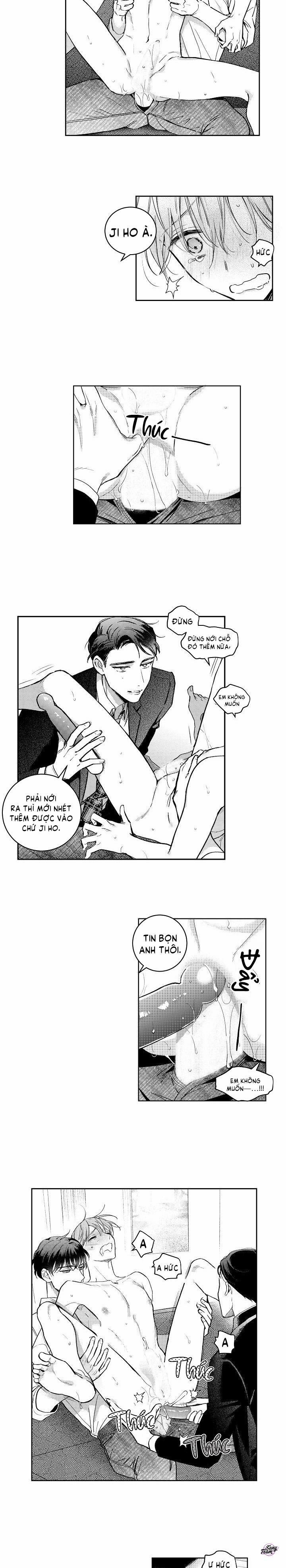 Liên Kết Hoàn Hảo 3 trang 2