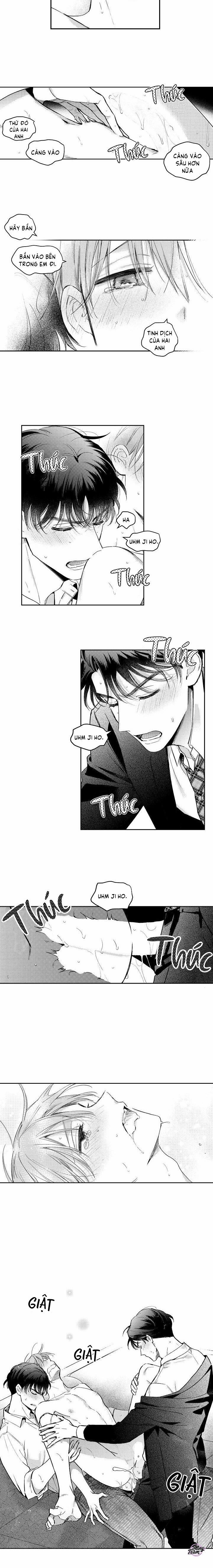 Liên Kết Hoàn Hảo 3 trang 7