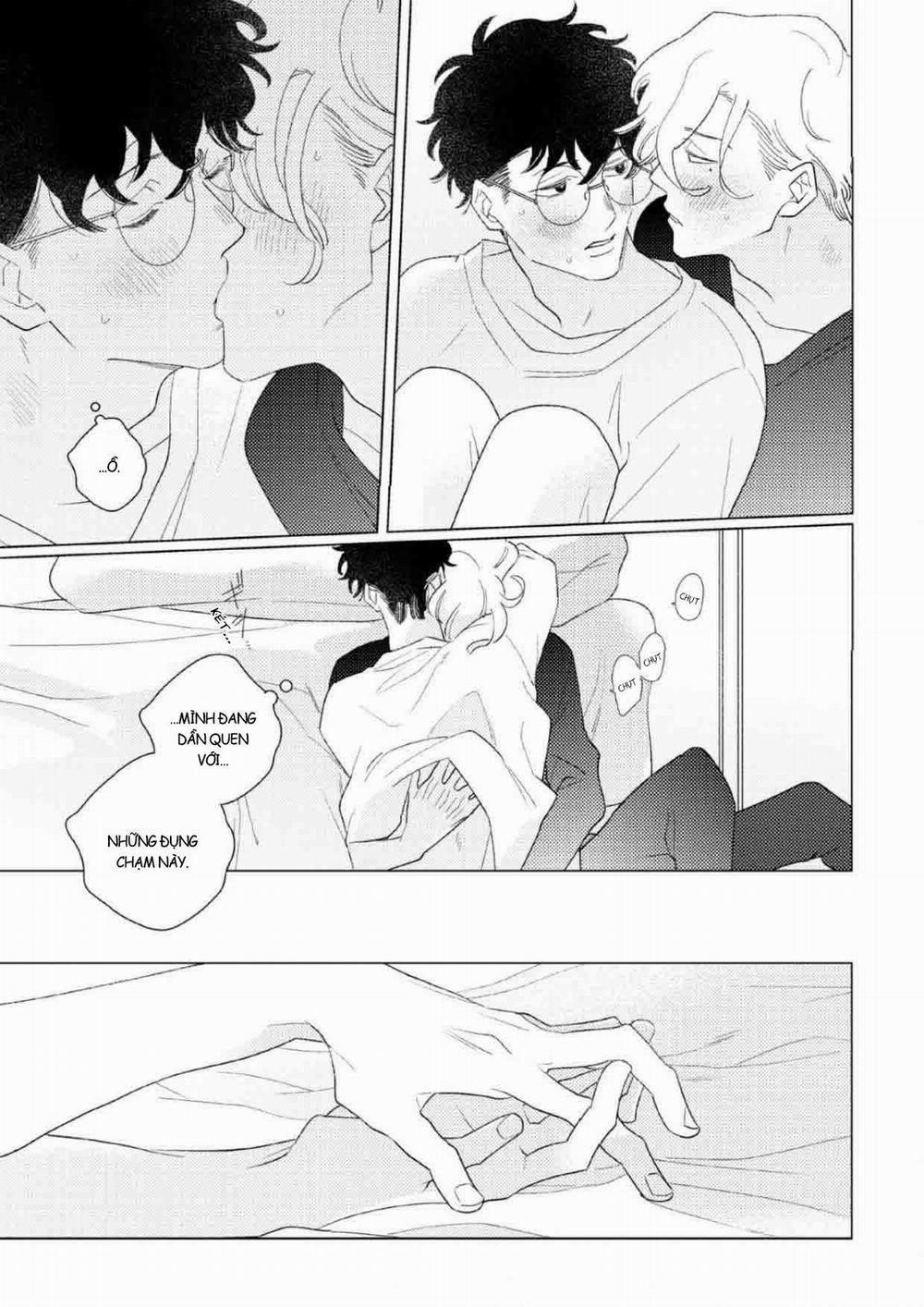 Liên Kết Và Rung Động 4 trang 11