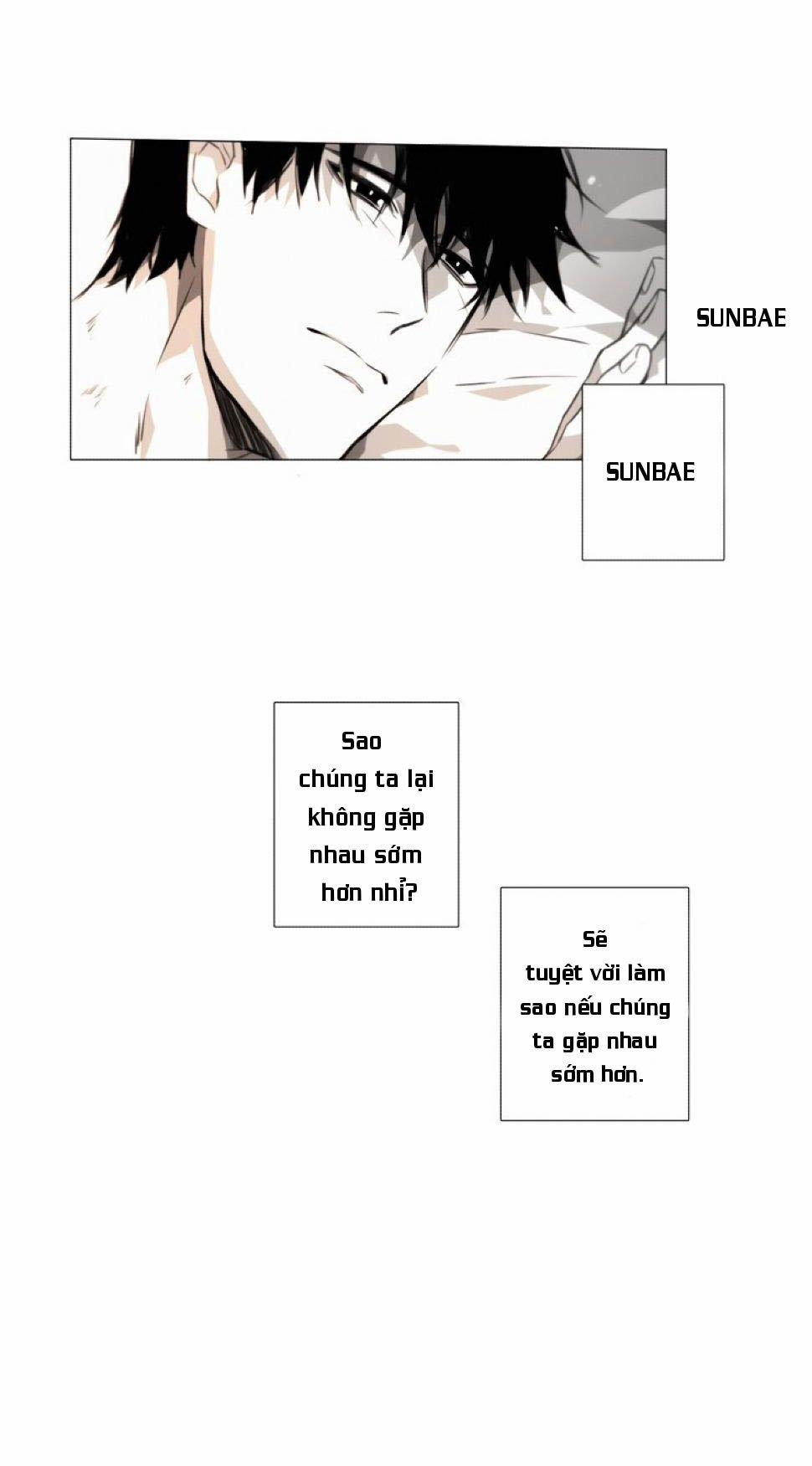 Lies Like Lies 19 trang 4