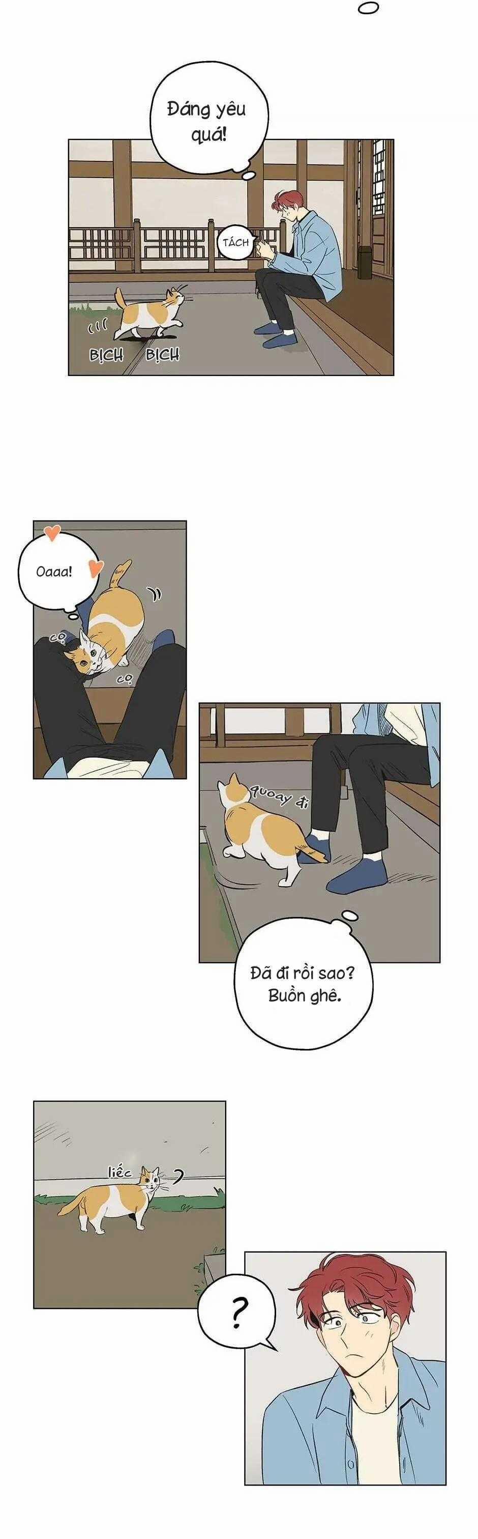 Liệu Rằng… Đây Có Phải Chỉ Là Một Giấc Mơ Không!? 1 trang 11