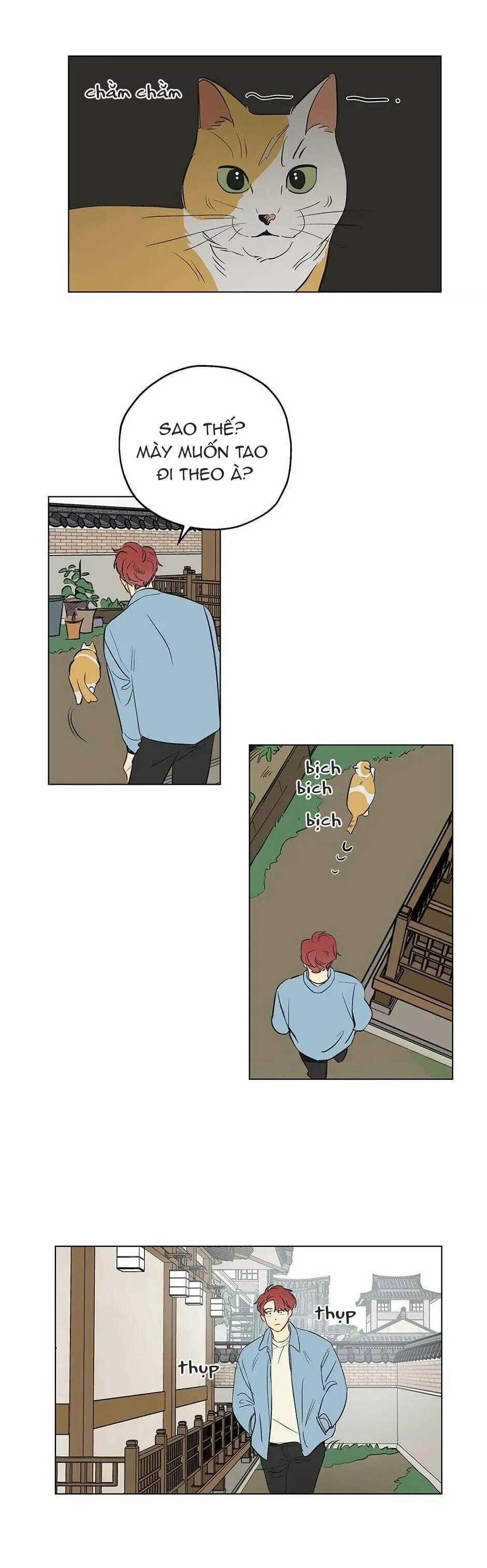 Liệu Rằng… Đây Có Phải Chỉ Là Một Giấc Mơ Không!? 1 trang 12