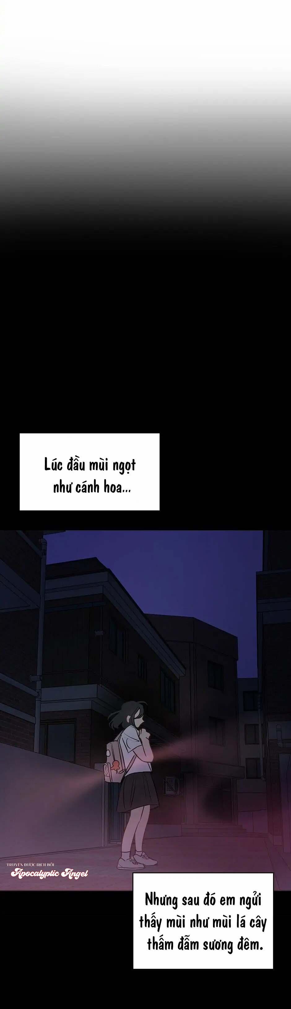 Liệu Rằng… Đây Có Phải Chỉ Là Một Giấc Mơ Không!? 23 trang 3