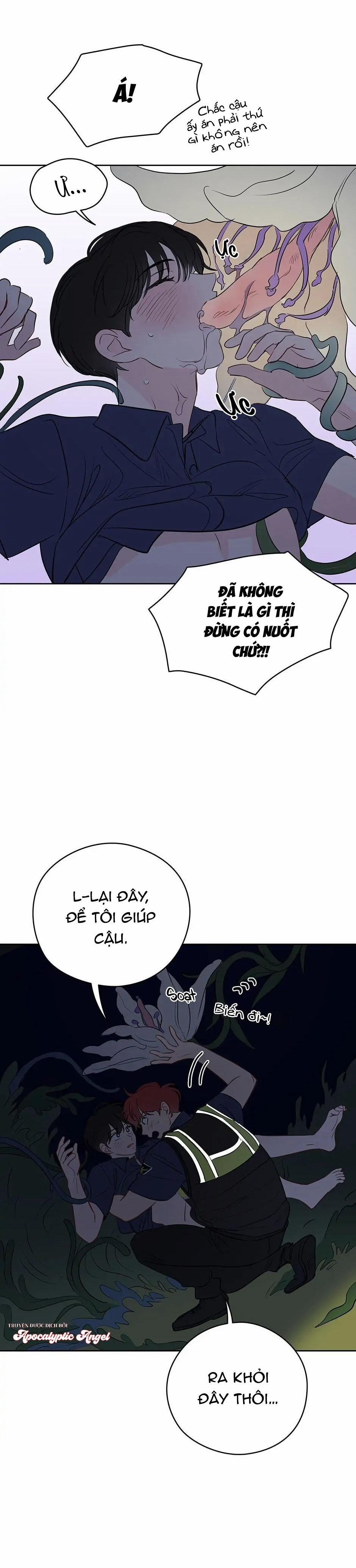 Liệu Rằng… Đây Có Phải Chỉ Là Một Giấc Mơ Không!? 24 trang 12